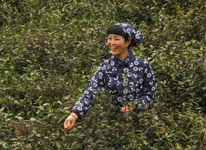 香烟与手枪